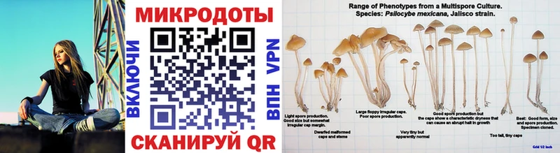 Галлюциногенные грибы ЛСД Себеж