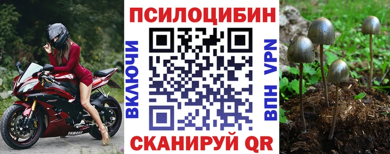 Псилоцибиновые грибы мухоморы  гидра сайт  сайты даркнета какой сайт  Себеж 